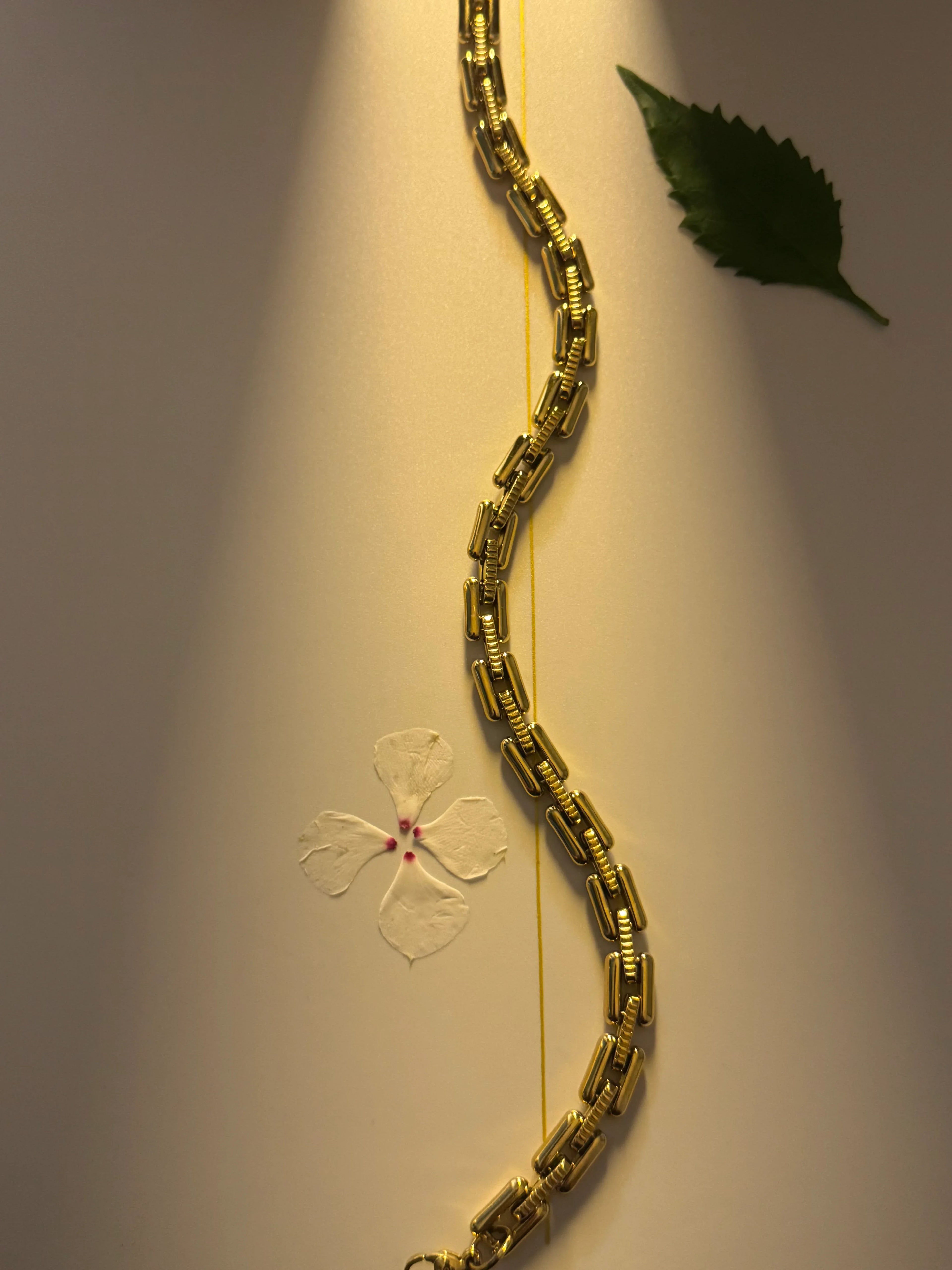 Cadena Camino de Luz Hombre 8mm - Oryos Joyeria