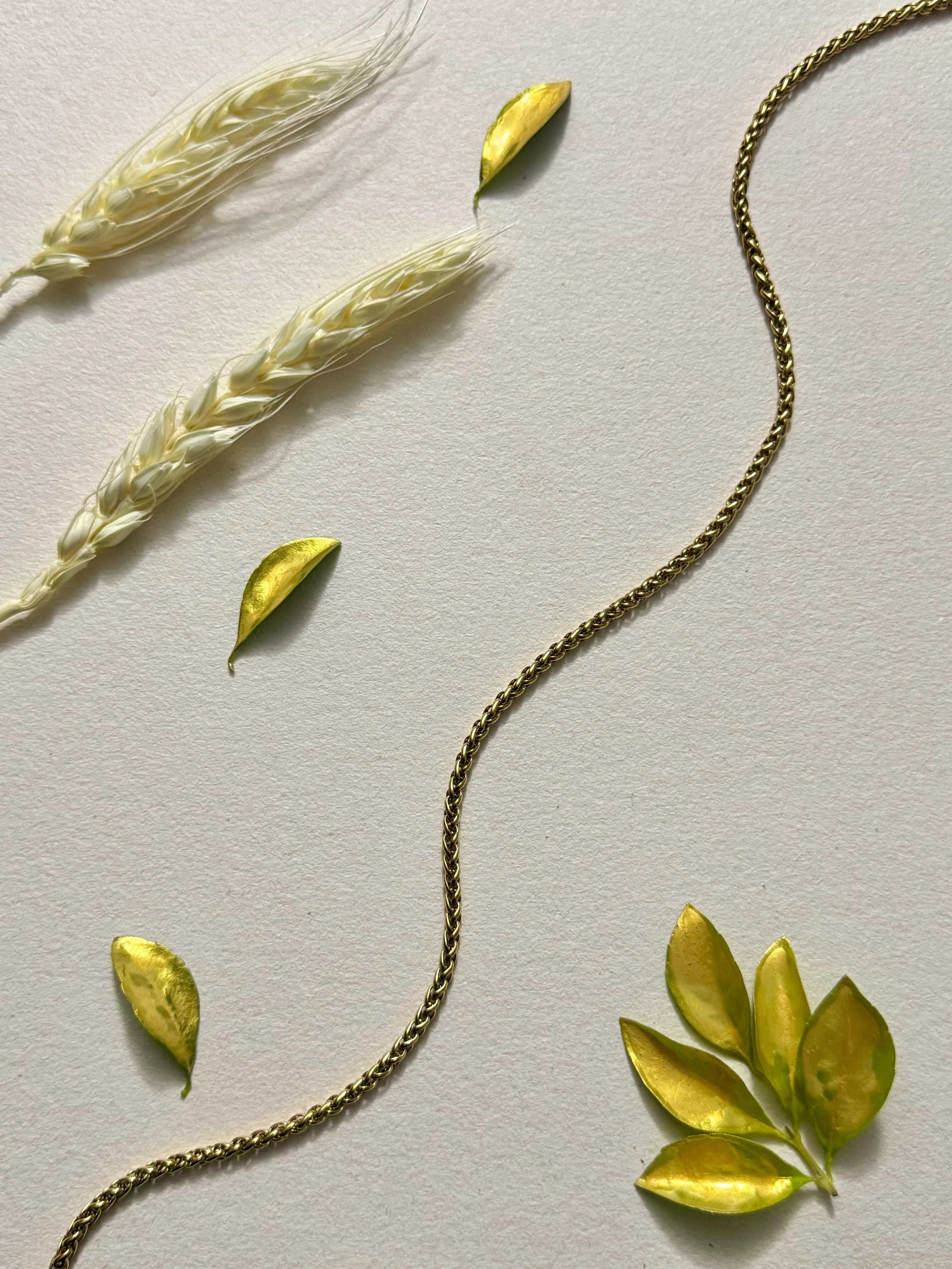 Cadena Espiga Dorada Mujer 3mm - Oryos Joyeria